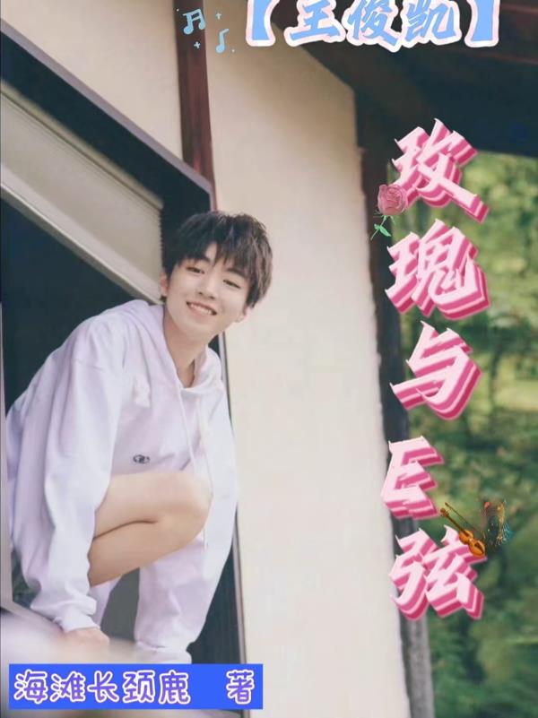 玫瑰少年歌王俊凯