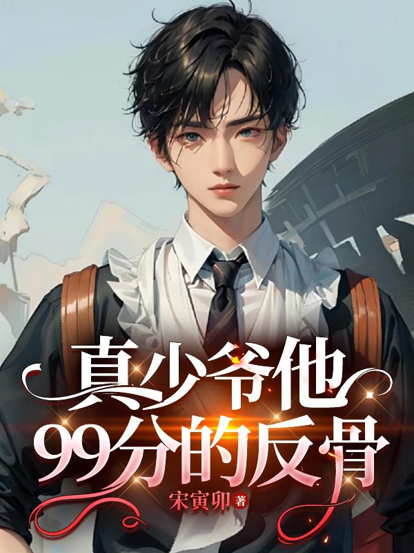 真少爷假少爷小说