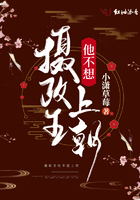 摄政王他不行 小说