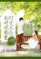 时光不负我对你的爱小说
