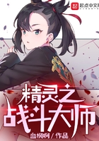 精灵之战斗系统笔趣阁