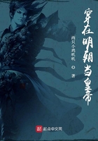 穿越到明朝当皇上的小说名