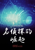 名侦探的崛起在线观看