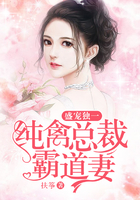 盛宠独一,纯情总裁霸道妻小说