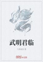 武明是哪里