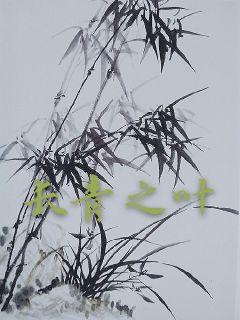 逐道求仙 第151章