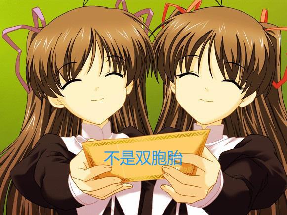 怀孕多久能看出来是不是双胞胎