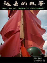 远去的风筝小说百度百科