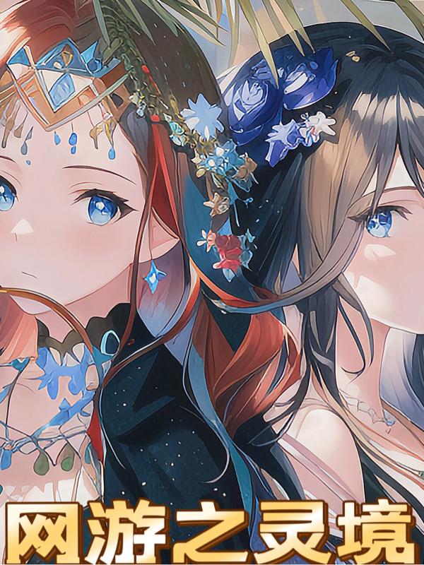 网游之灵魂r