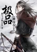 极品神印少主小说百度百科