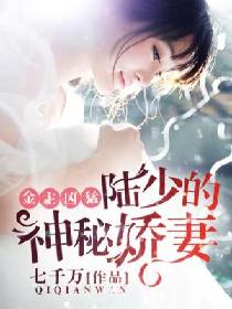 金主凶猛:陆少的神秘娇妻全文阅读
