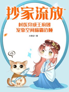 穿越抄家流放类小说