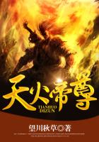 天火帝尊免费阅读