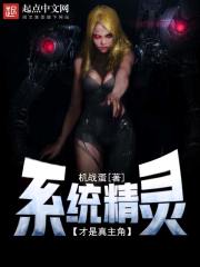 有系统精灵的小说